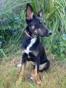 970140_10200357778680179_1119992042_n